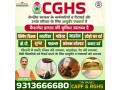 cghs-capf-ayurvedic-wellness-center-for-kidney-infection-in-safdarjung-small-0