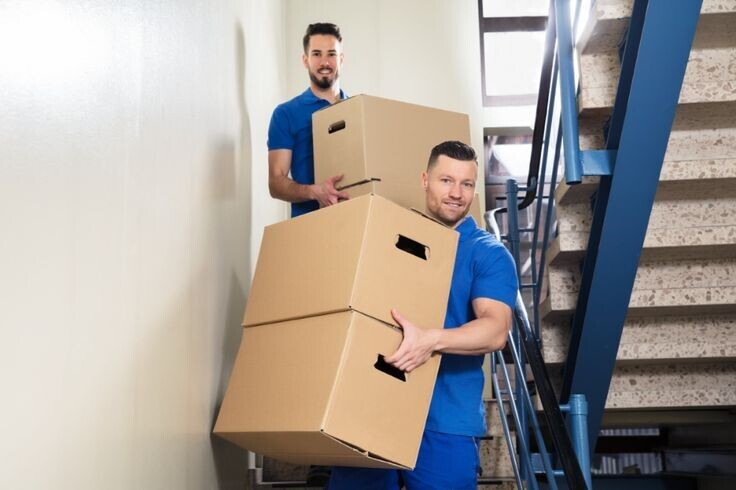 Removalists Bondi