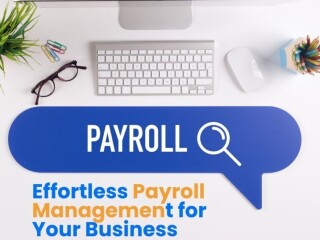 Best Payroll Software Dubai, HRMS Software in UAE |HR Software Dubai