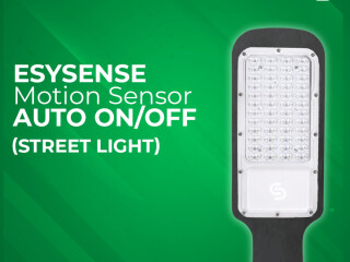 Motion Sensor Street Light