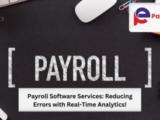 Payroll Software Services: Reduce Errors with Real-Time Analytics!