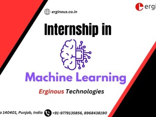 Internship in Machine Learning| Erginous Technologies