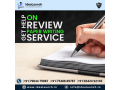 review-paper-writing-services-idealaunch-small-0