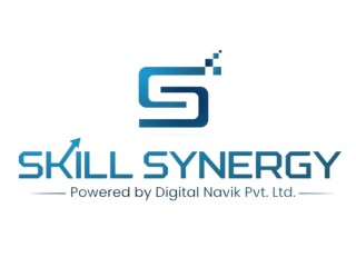 Skill Synergy Best Skill development company