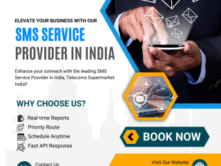 SMS Service Provider in India: Effective Messaging Solutions for Your Business