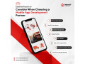 top-reasons-to-invest-in-custom-mobile-app-development-for-your-business-small-0