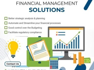 Optimize Operations with Financial Management Software