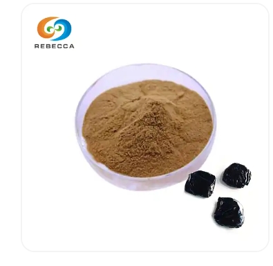 Shaanxi Rebecca Bio-Tech Co., LTD's  Pure Shilajit Extract