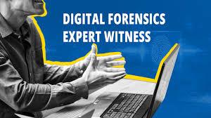 Need a Forensic Expert Witness? We've Got You Covered!