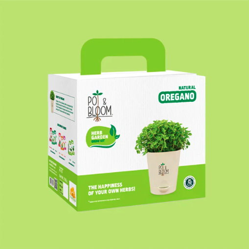 Herb Kits Online - Grow Fresh Herbs at Home | Pot and Bloom