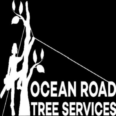 Avail Tree Trimming Services now