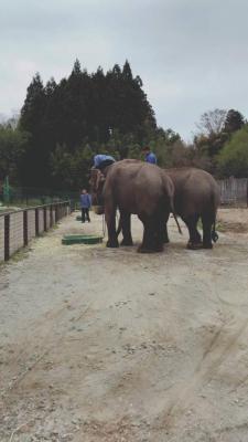 Animal Exchange Program in Thailand