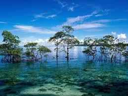 Andaman Weekend tour