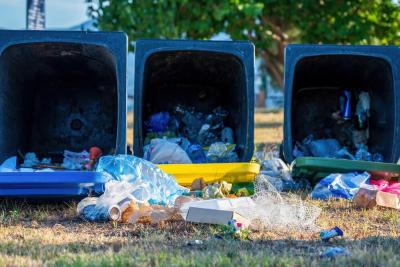 Dumpster Rental in La Mesa