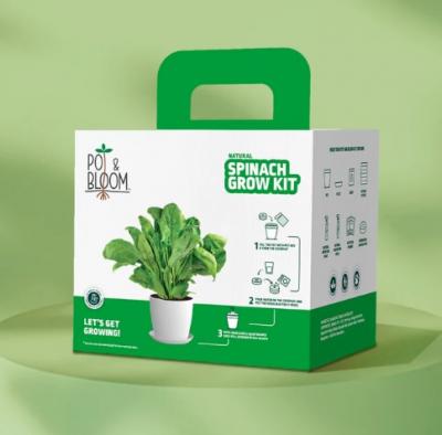 Vegetable Gardening Kits | Grow Fresh Veggies at Home - Pot &amp; Bloom