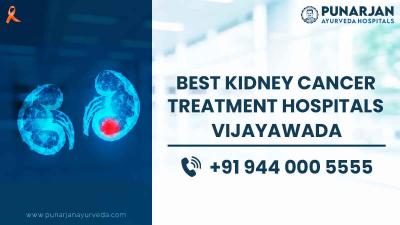 Best Kidney Cancer Treatment Hospitals in Vijayawada  | Punarjan Ayurveda