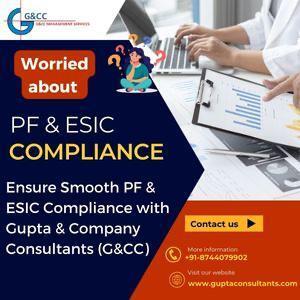 Easy PF &amp; ESIC Compliance with Gupta Consultants