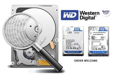 Hard Disk Drive, SSD, Server Data Recovery Company