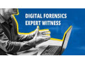 need-a-forensic-expert-witness-weve-got-you-covered-small-0