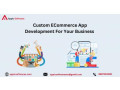 custom-ecommerce-development-company-for-your-businessappic-softwares-small-0