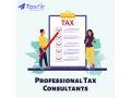 professional-tax-consultants-taxfilr-small-0