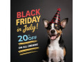 black-friday-in-july-sale-get-20-off-small-0