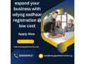 expand-your-business-with-udyog-aadhaar-registration-at-low-cost-small-0