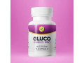 quottransform-your-health-with-gluco-shield-pro-natural-blood-sugar-supportquot-small-2