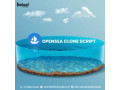 opensea-clone-script-development-small-0