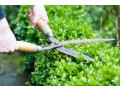 maximum-landscaping-services-small-2