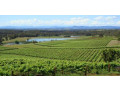 find-the-best-hunter-valley-private-tours-small-0