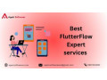 best-flutterflow-expert-services-at-appic-softwares-small-0