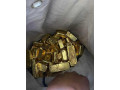 pure-gold-bars-for-sale-at-256787681280-small-2