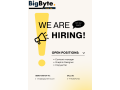 join-bigbytehires-dynamic-team-small-0