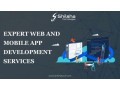 best-mobile-app-and-website-development-company-small-0