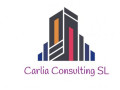 carlia-consulting-all-about-finance-small-0