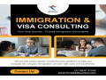 immigration-amp-visa-consulting-small-0