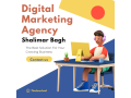 digital-marketing-agency-in-shalimar-bagh-small-0