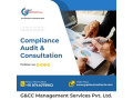 audit-and-consulting-services-delhi-small-0