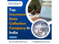 best-insurance-data-collection-services-in-india-small-0