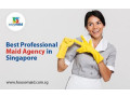 best-professional-maid-agency-in-singapore-small-0