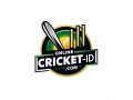 online-cricket-id-small-0