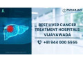 best-liver-cancer-treatment-hospitals-in-vijayawada-punarjan-ayurveda-small-0