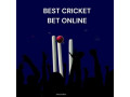 best-cricket-bet-online-top-betting-platform-for-big-wins-small-0