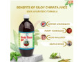 strengthen-immunity-amp-cleanse-your-body-with-giloy-chirata-ayurvedic-juice-small-0