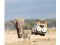 4-days-maasai-mara-wildebeest-migration-safari-tour-small-1