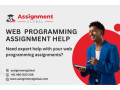 get-web-programming-assignment-help-at-afforadable-price-small-0