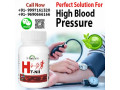 take-control-amp-lower-blood-pressure-naturally-small-0