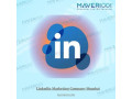 linkedin-marketing-company-mumbai-small-0