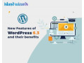 build-your-perfect-website-with-island-wizards-wordpress-amp-shopify-experts-small-1